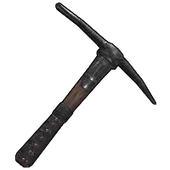 Skin's image