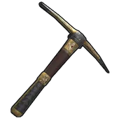 Skin's image