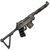 Skin's image