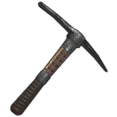 Skin's image