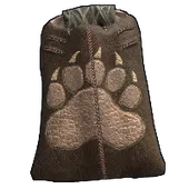 Skin's image
