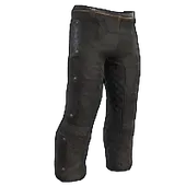 Skin's image