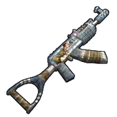 Skin's image