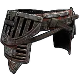 Skin's image
