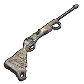 Skin's image