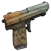 Skin's image