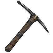Skin's image