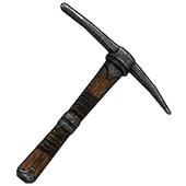 Skin's image
