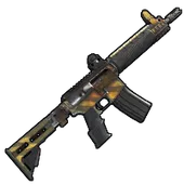 Skin's image