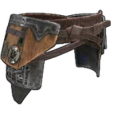 Skin's image