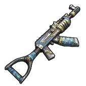 Skin's image