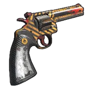 Skin's image