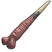 Skin's image