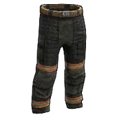 Skin's image