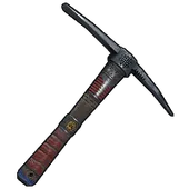 Skin's image