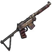 Skin's image