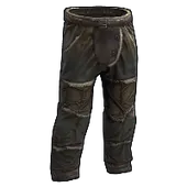 Skin's image