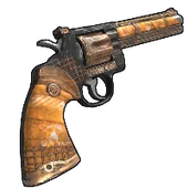 Skin's image