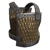 Skin's image