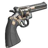 Skin's image
