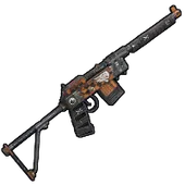 Skin's image