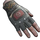 Skin's image