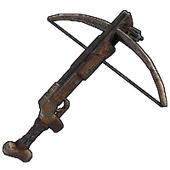 Skin's image