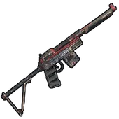 Skin's image