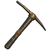 Skin's image