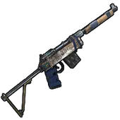 Skin's image