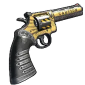 Skin's image