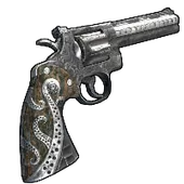 Skin's image