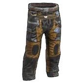 Skin's image