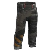 Skin's image