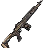 Skin's image