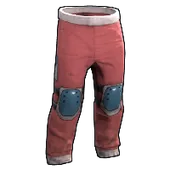 Skin's image