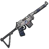 Skin's image