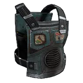 Skin's image