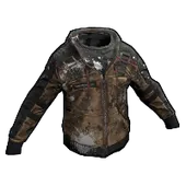 Skin's image