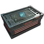 Skin's image