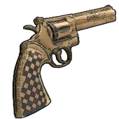 Skin's image