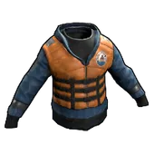 Skin's image