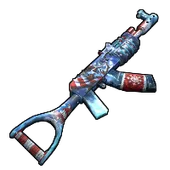 Skin's image