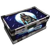 Skin's image