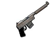 Skin's image