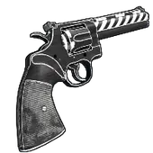 Skin's image