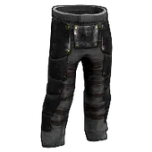 Skin's image