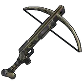 Skin's image