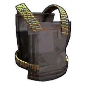 Skin's image