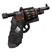 Skin's image